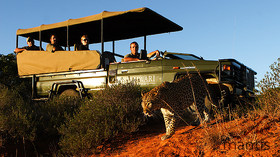 The Mantis Collection, South Africa