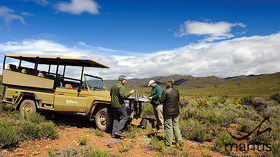 The Mantis Collection, South Africa