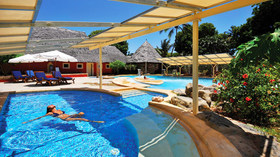 Diamonds Dream of Africa