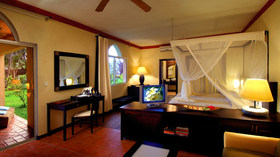 Diamonds Dream of Africa