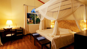 Diamonds Dream of Africa