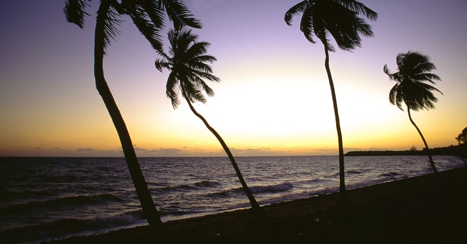 The Lodge at Jaguar Reef