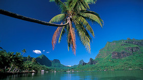 Air Tahiti Nui