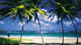 Cotton Bay Village