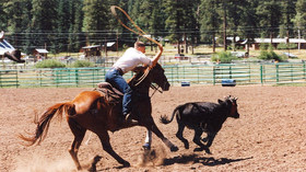 Wits End Guest Ranch Resort & Spa