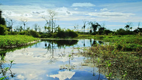Aqua Expeditions