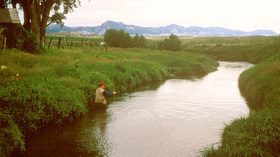 TA Guest Ranch - ON HOLD