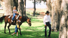 TA Guest Ranch - ON HOLD