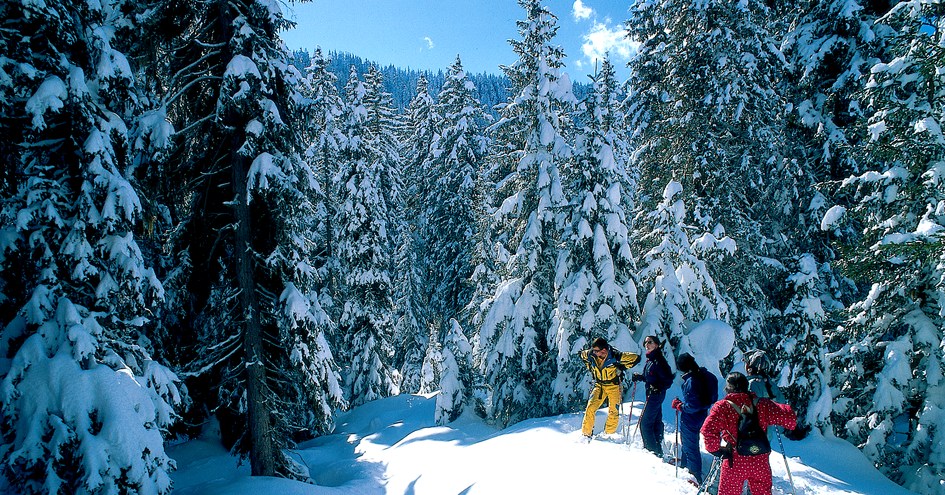 Les Suites de la Potinière