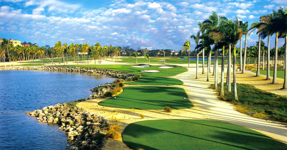 Pet Friendly Hotels In Doral Florida Pet Friendly Hotels In Doral Florida