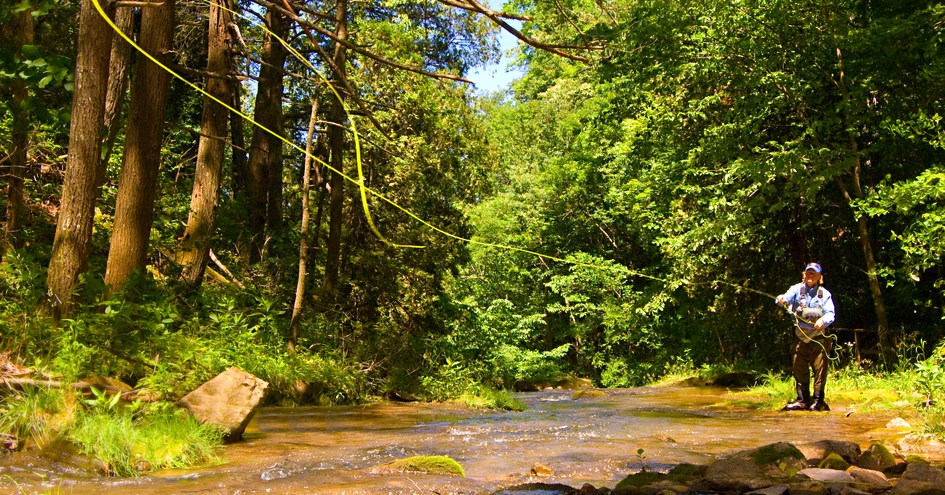 The Omni Homestead Resort