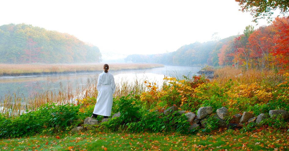 The Bee and Thistle Inn and Spa