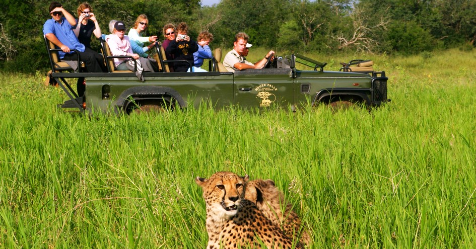 Mkuze Falls Private Game Reserve