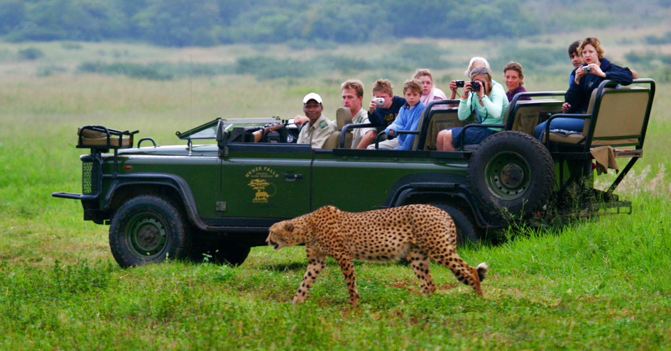 Mkuze Falls Private Game Reserve