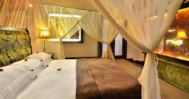 SkySafari by Elewana