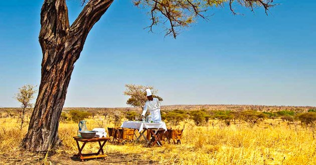 SkySafari by Elewana