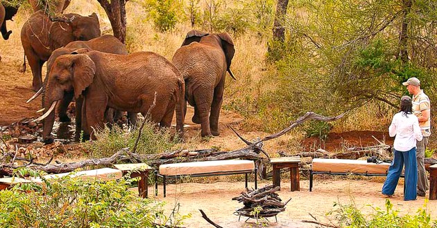 SkySafari by Elewana