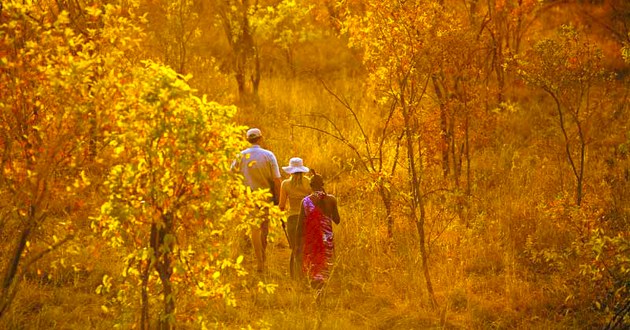 SkySafari by Elewana