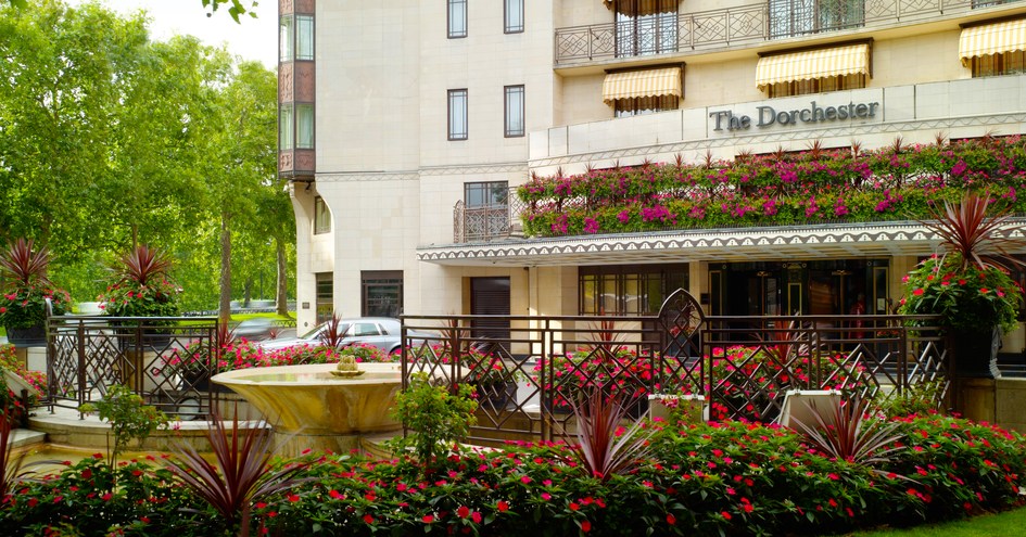 The Dorchester