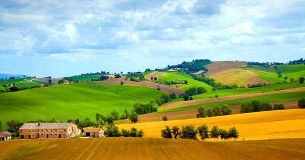 Wine World Tours, Europe