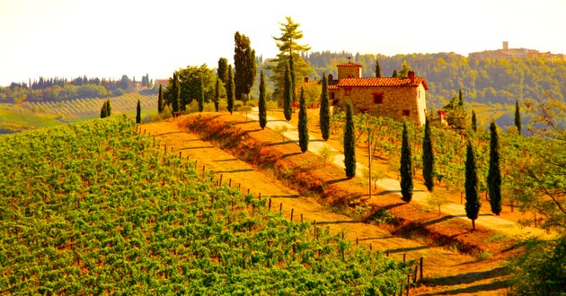 Wine World Tours, Europe