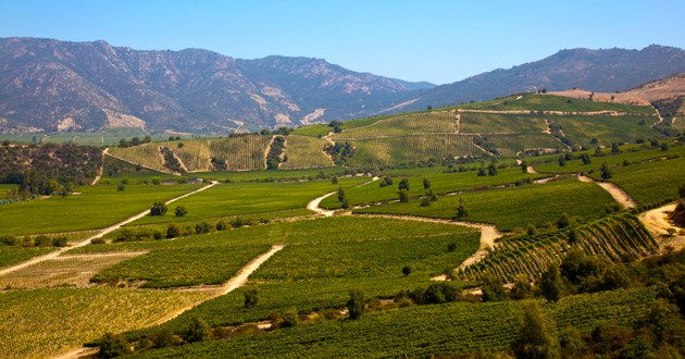 Wine World Tours, South America