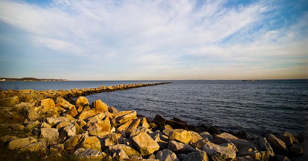 The Bee and Thistle Inn and Spa