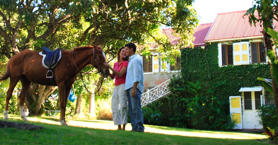 The Hermitage Plantation Inn