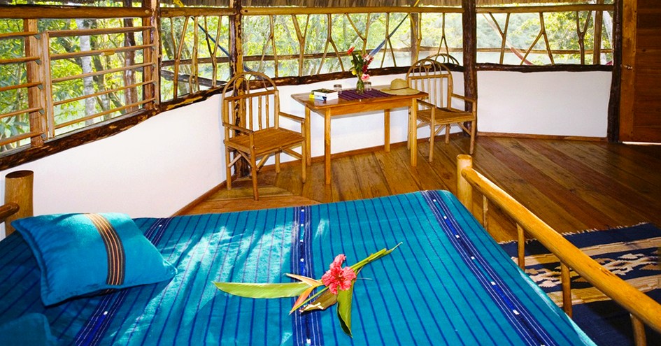 Cotton Tree Lodge
