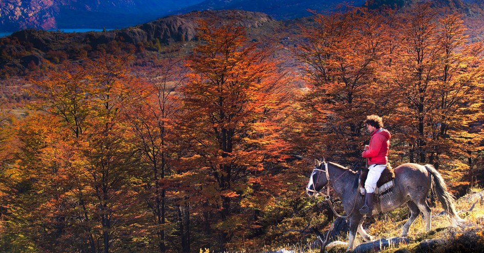 Estancia Cristina Lodge