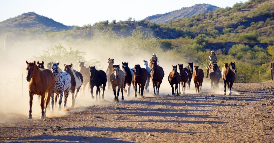 Rancho de los Caballeros