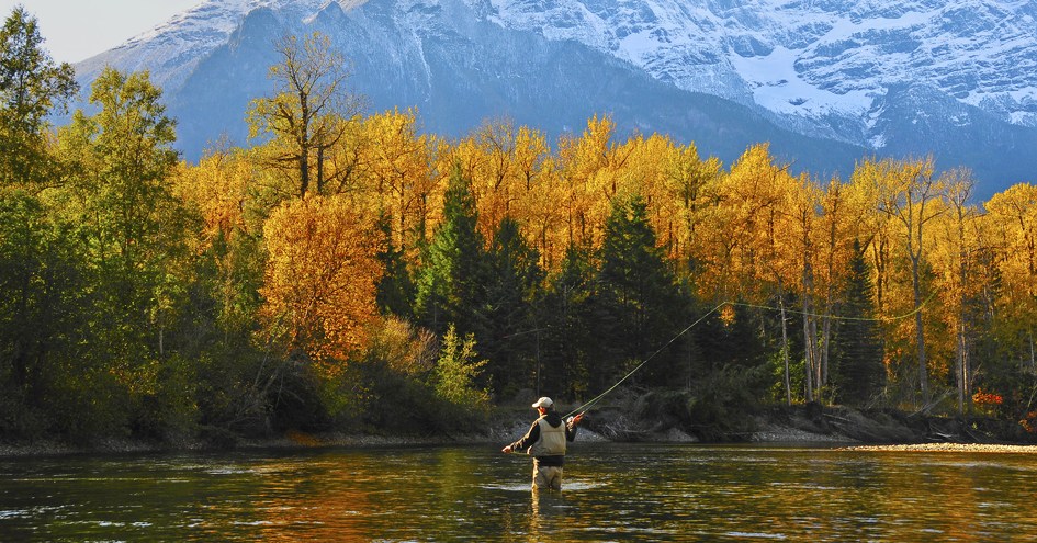 Tweedsmuir Park Lodge