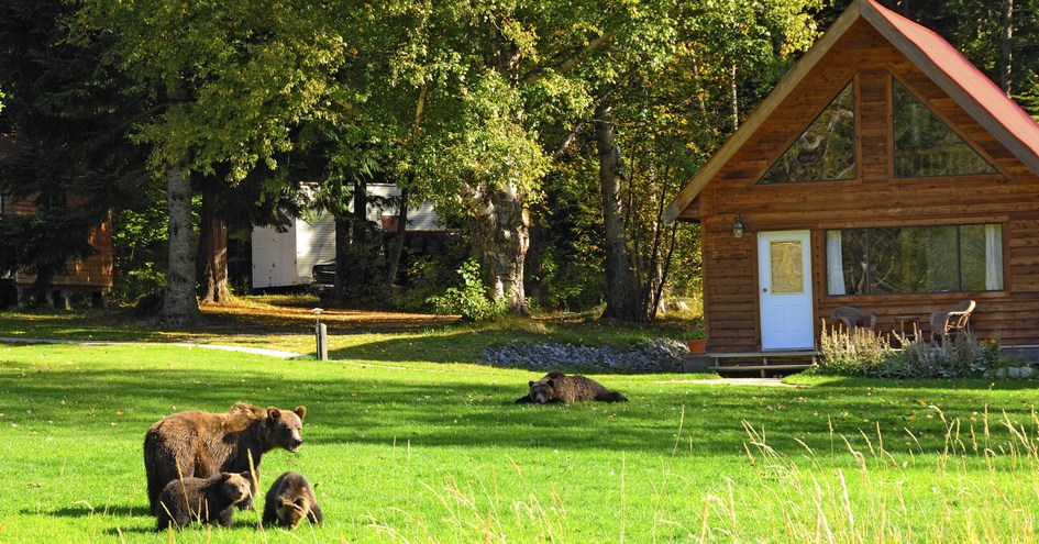 Tweedsmuir Park Lodge