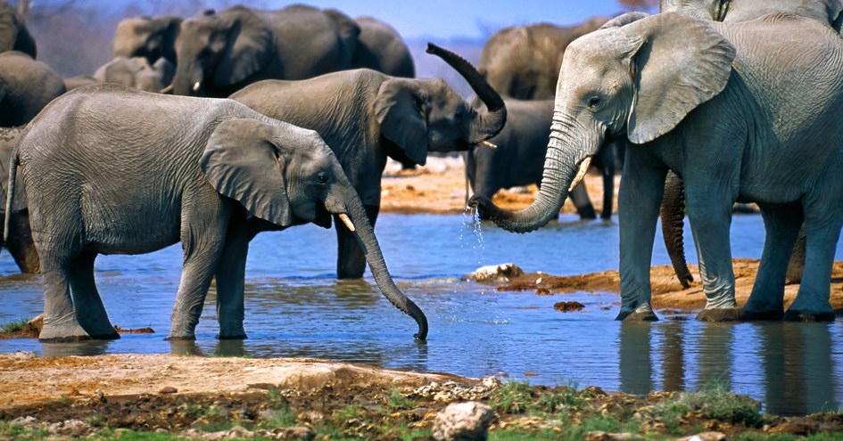 Exploreans Mara Rianta Camp