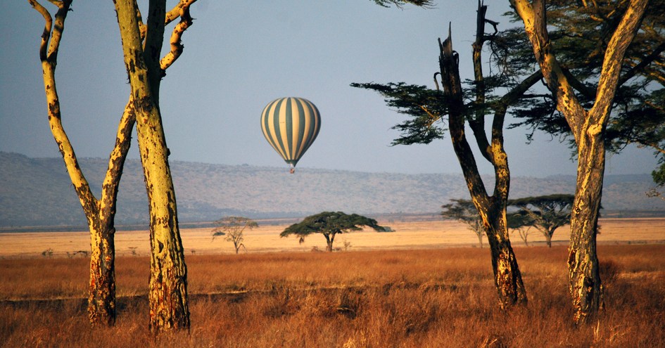 Exploreans Mara Rianta Camp