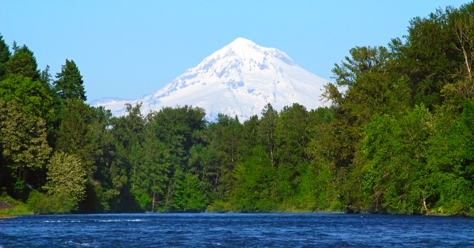 The Nines, a Luxury Collection Hotel, Portland