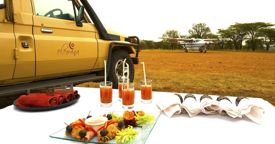 SkySafari by Elewana