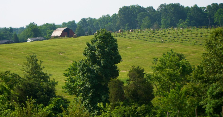 Southern Grace Bed & Breakfast