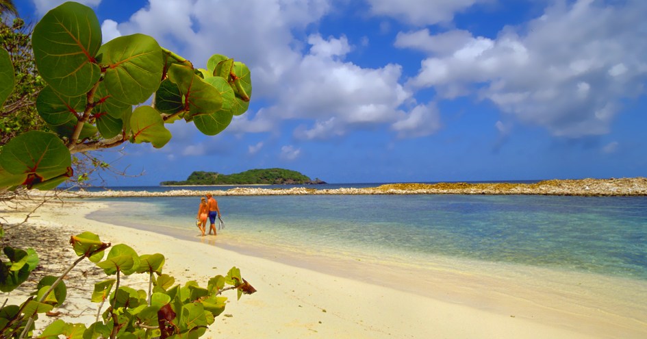 Mount Hartman Bay Estate