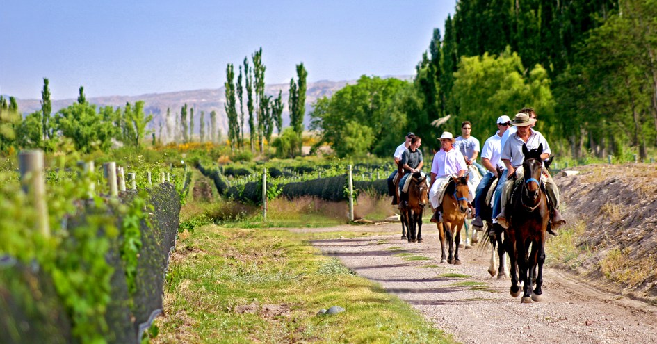 Algodon Wine Estates & Champions Club