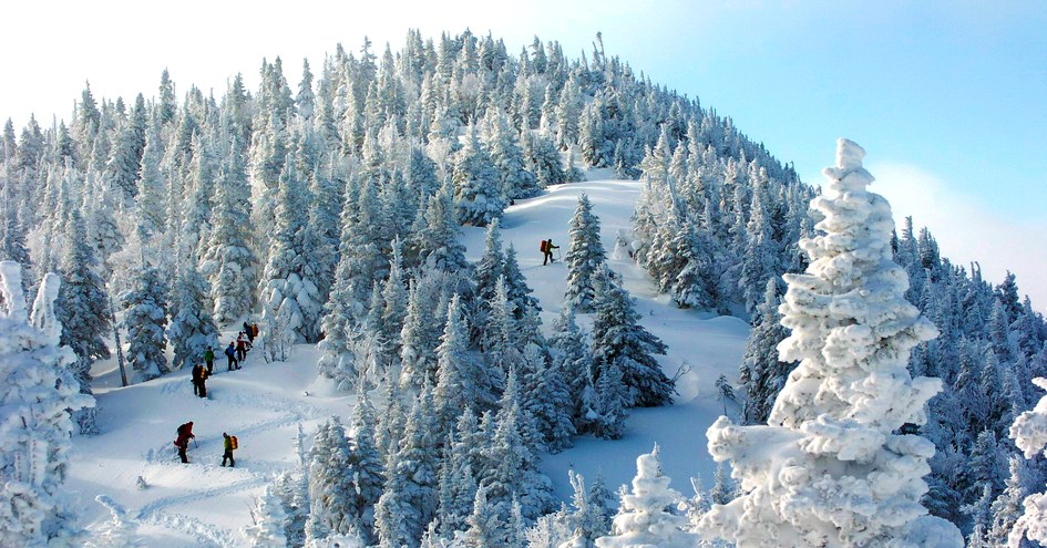 Chic-Chocs Mountain Lodge