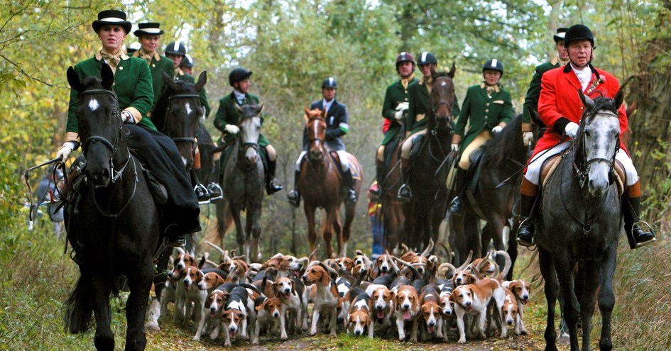 Schloss Hubertushöhe