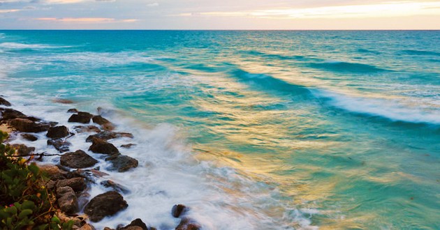 Bimini Bay Resort & Marina