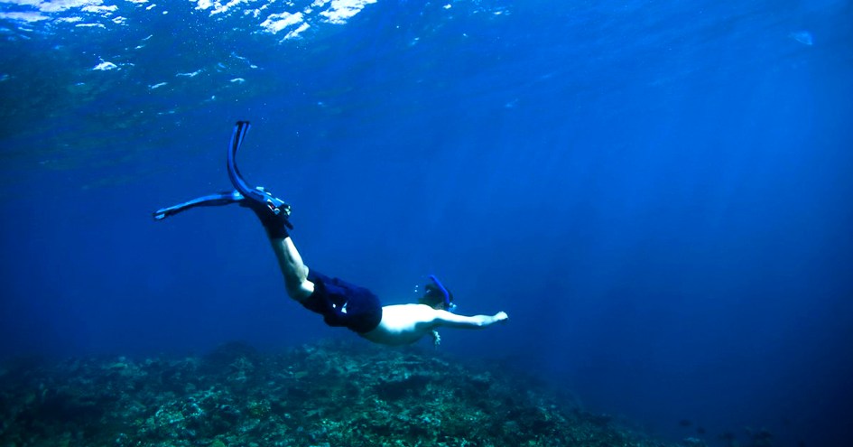 Golden Dolphin Villa