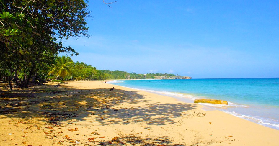 Golden Dolphin Villa