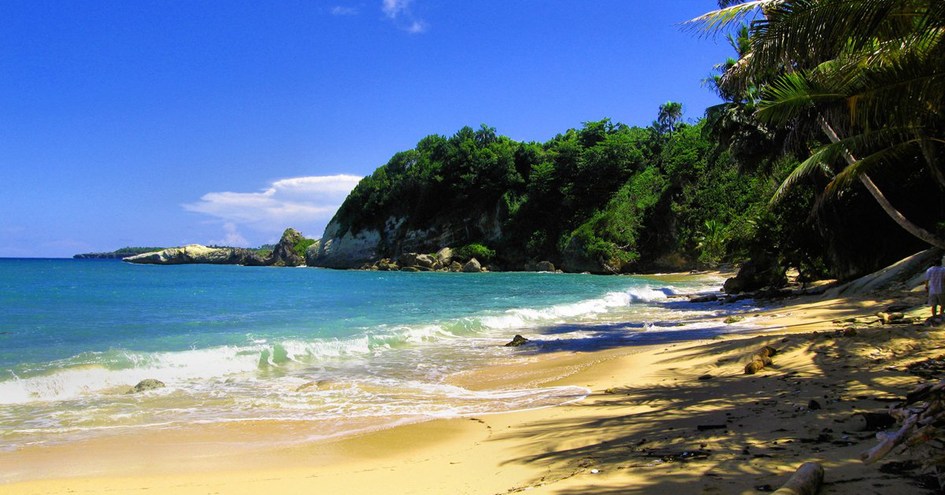 Golden Dolphin Villa