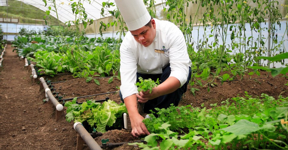 El Silencio Lodge & Spa