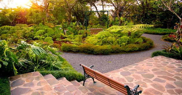 Costa Rica Expeditions, Rain & Cloud Forest Odyssey