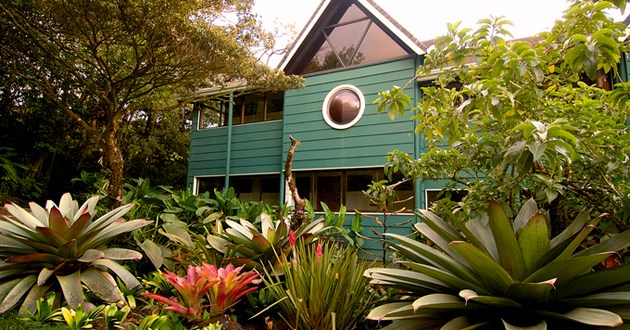 Costa Rica Expeditions, Rain & Cloud Forest Odyssey