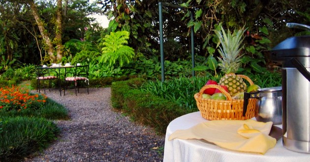 Costa Rica Expeditions, Rain & Cloud Forest Odyssey